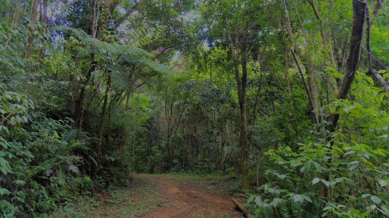 Pousada Alpes Santo Antônio do Pinhal Екстериор снимка